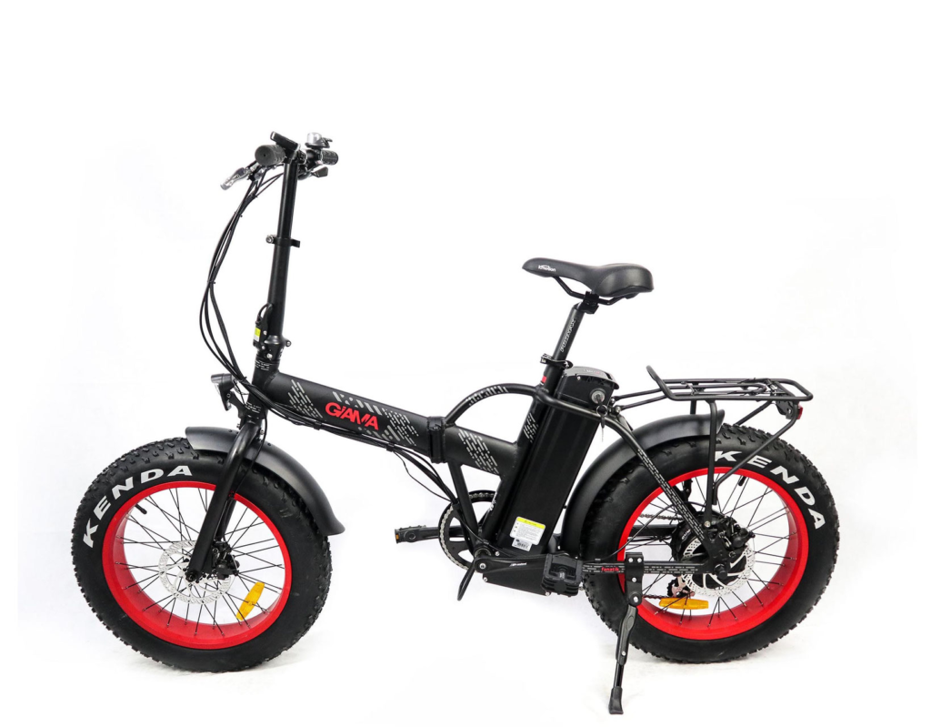 biciclett elettrica